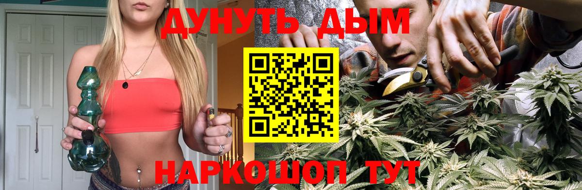 Сыктывкар  Бошки марихуана сатива  Вход с VPN  Бошки Шишки MAZAR  Бошки Шишки планчик 